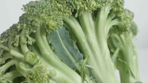 Fresh Green Broccoli Florets on White Background