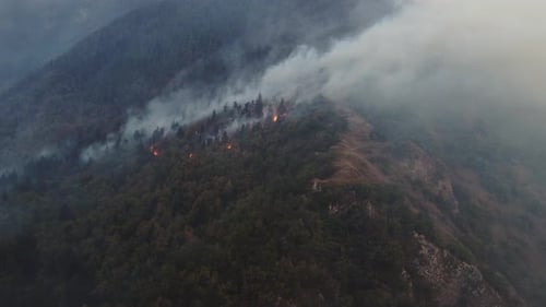 Fire in the forest aerial view. Cinematic aerial shot fire in the forest.