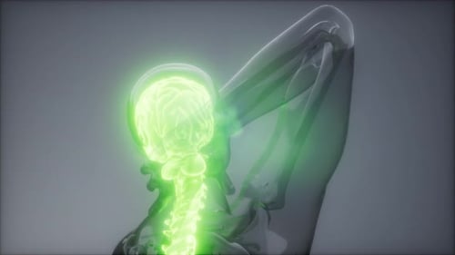 Backache in Back Bones