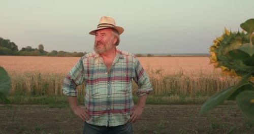 Portrait of Handsome Senior Farmer in Hat Stands in Sunny Field at Camera