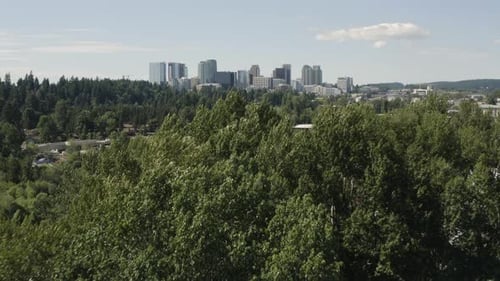 City Of Bellevue Washington Aerial Drone Flying Above Tree Revealing Futuristic Cityscape