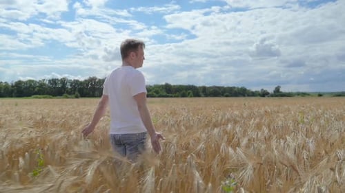 Man Farmer on Barley Field