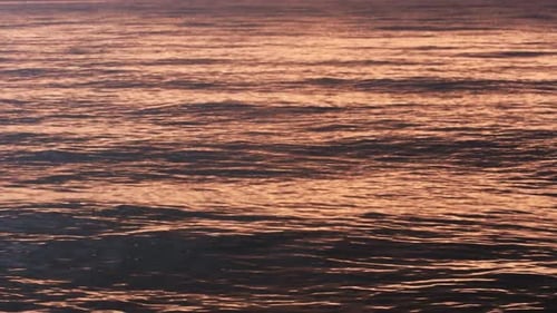 Sea