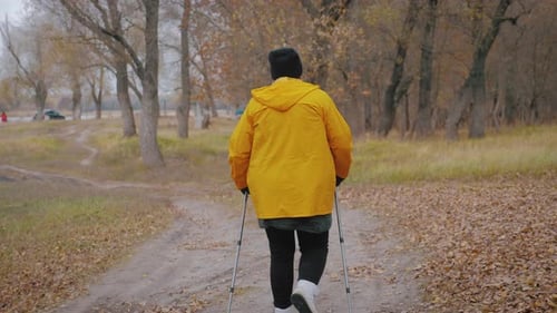 Senior Woman Making Nordic Walking in the Autumn Forest, Nordic Walking Race on Autumn Trail