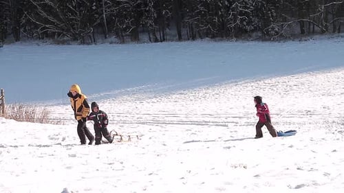 inverno, trenó na neve, ladeira abaixo, crianças e mãe com trenó na neve se divertindo muito