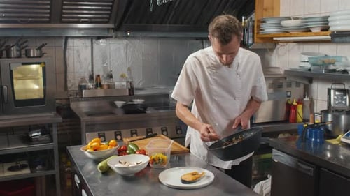 Chef Preparing Gourmet Meal in Commercial Kitchen