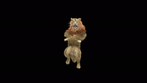 Realistic 3D Lion Roaring Animation