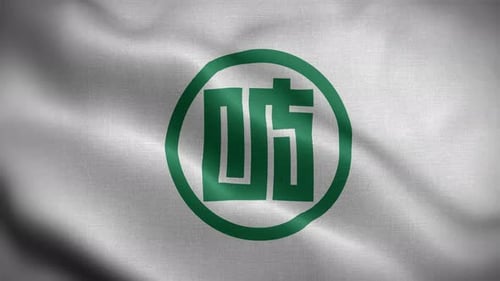Waving Flag with Green Circular Emblem Loop