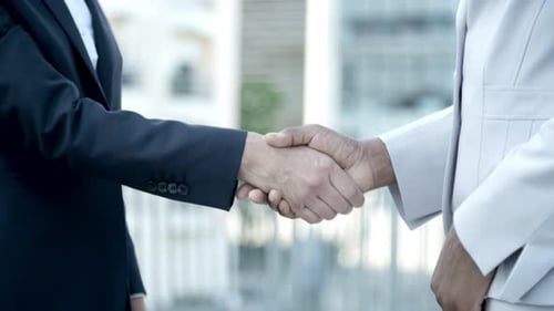Close up of professional business handshake