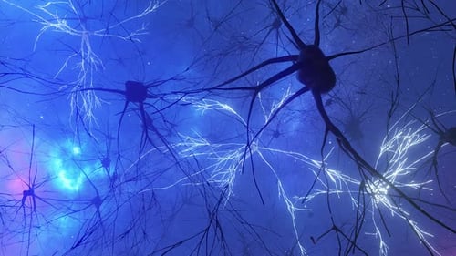 Animation of the Activity of Neurons and Synapses