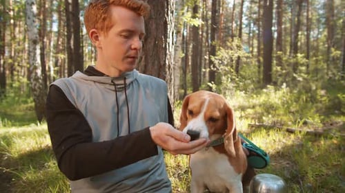 Young Man Pets Dog in the Forest