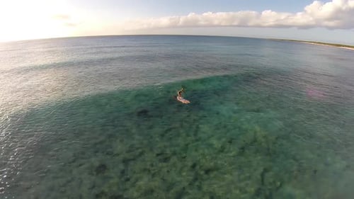 Aerial shot of young woman sup standup paddleboard surfing on a wave in the Caribbean.