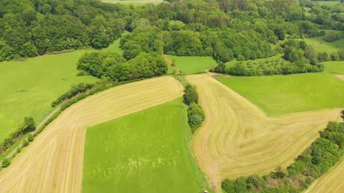 Aerial View of Green Fields and Forest