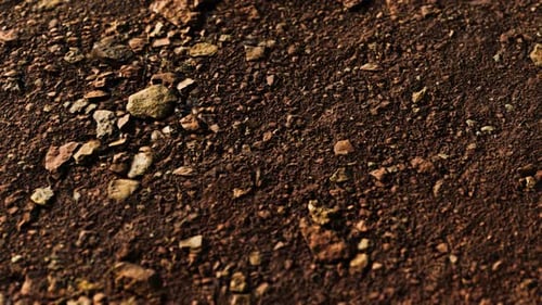 Closeup of Dirty Ground Road