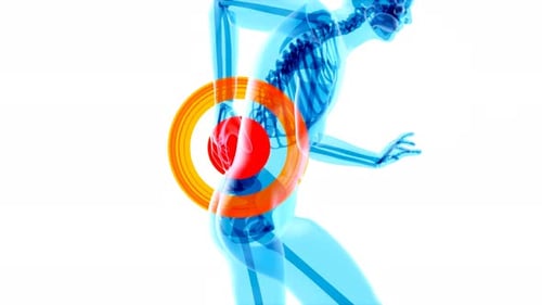 4K anatomy concept of a back pain