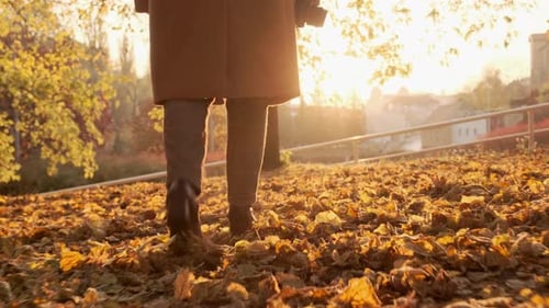 Female Photographer Walks Through the Autumn Forest at Sunset in a Brown Coat and Plaid Trousers