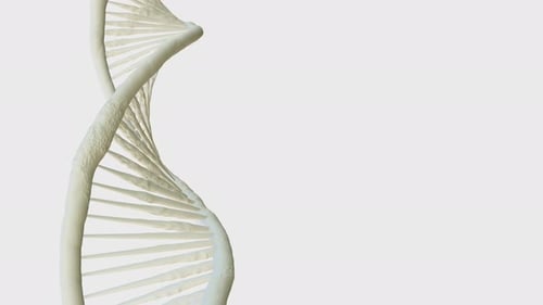 Animated 3D DNA Double Helix Rotating Loop