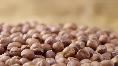 Pile of Shelled Hazelnuts Filling Frame on Wood