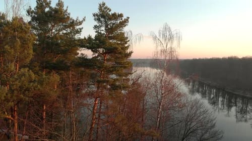 Dramatic Colorful Morning Scene, Autumn Nature, in the Dark Water Reflected Tree Trunks