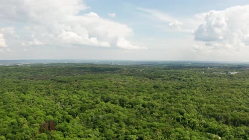 Nuages et forêts