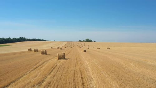 Round Hay Bales At The Field 12