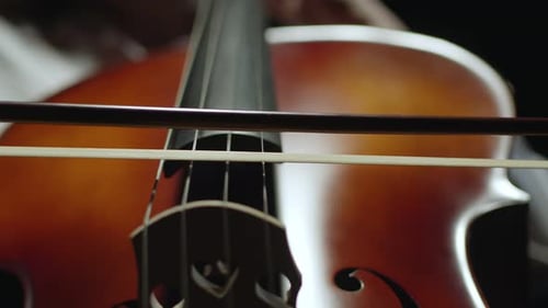 Close Up of Cellist Playing
