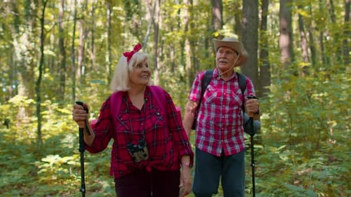 Senior Couple Hiking Through a Sunny Forest