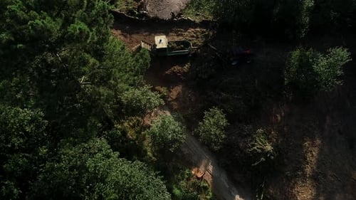 Fábrica de procesamiento de madera. Toma aérea, equipo de maquinaria de tala forestal