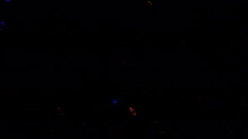 Abstract Glowing Fluid Shapes Animated Background