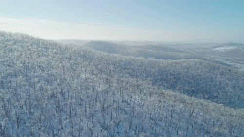 Aerial Winter Mountain Landscape of a Frozen Forest with Snow and Ice Covered Trees on a Sunny