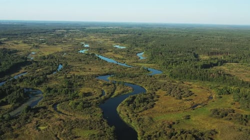Aerial View Green Forest Woods And River Landscape In Sunny Summer Day