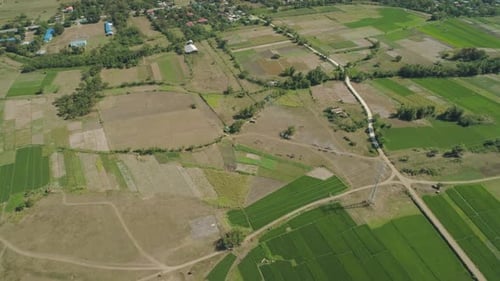 Landscape with Rice Terrace Field Philippines, Luzon