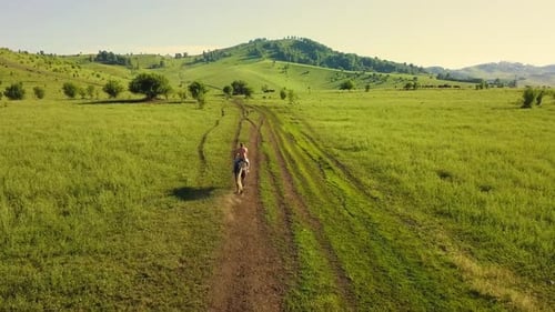 Woman Riding Horse Through Green Grassy Field