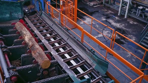Large Log Advancing on Conveyor Belt Mechanism