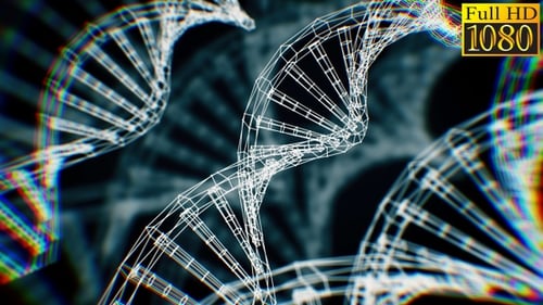 Rotating Wireframe DNA Strands Animation for Science and Research