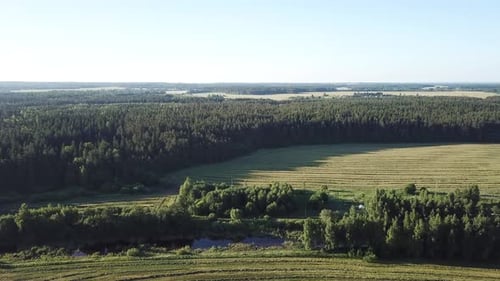 Forest Field River And Road 05