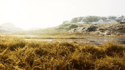 Grassland on Mountains in Autumn