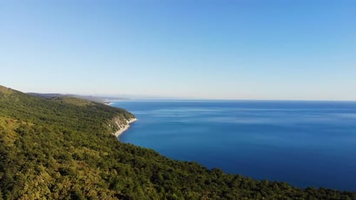Aerial of flying over a beautiful green forest and sea in a rural landscape.