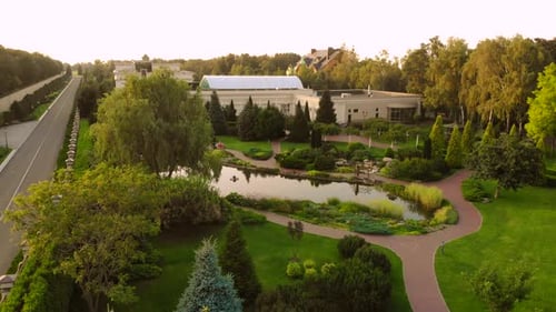Aerial Landscape of Summer Park Near the Road
