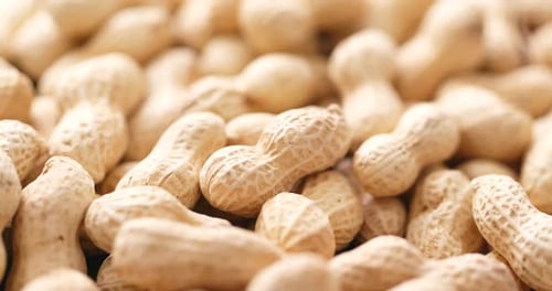 Shelled Peanuts Close Up Zooming Food Footage