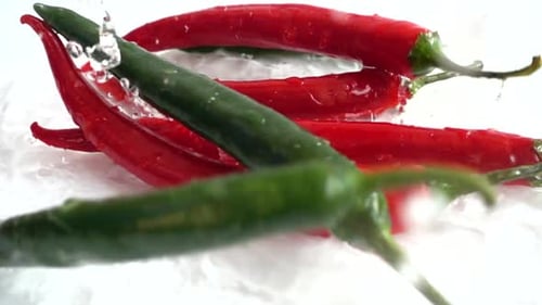 Fresh Chili Pepper 4