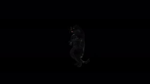 Black Panther Pouncing Dynamic Animation Loop with Transparent Background