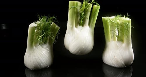 Fennel, foeniculum vulgare, Vegetable falling into Water against Black Background, Slow Motion 4K