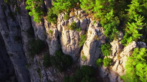 Dense Magical Forest at the Canyon Top Huge Spectacular Cliff Rocks Epic Aerial Drone Flight Over