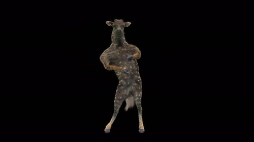 3D Animated Fawn Performing Energetic Dance Moves
