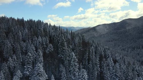 Paysage d'hiver aérien avec des épinettes de forêt enneigée dans des montagnes froides.