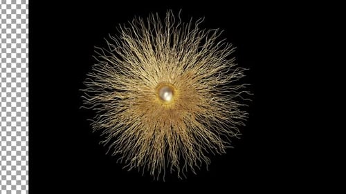 Gold Flower 3D Loop Alpha