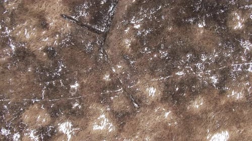 textured winter field. aerial shot. overcast weather.