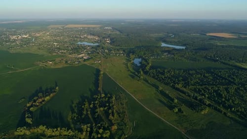 Aerial View Beautiful Landscape in Summer Drone Flying Corn Field in Sunny Day