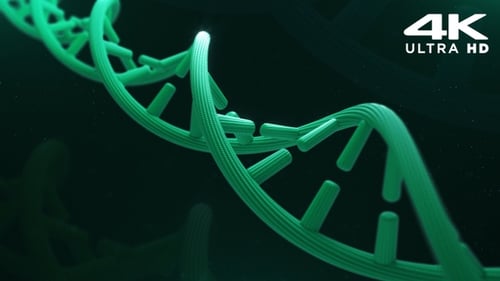 Animated DNA Double Helix Structure with Glowing Effect